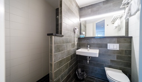 Habitación Deluxe con 2 camas individuales