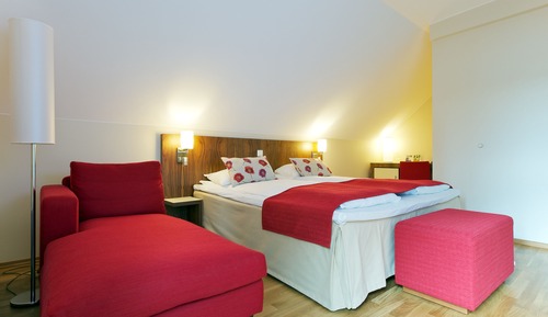 Habitación superior, 1 cama doble, no fumadores