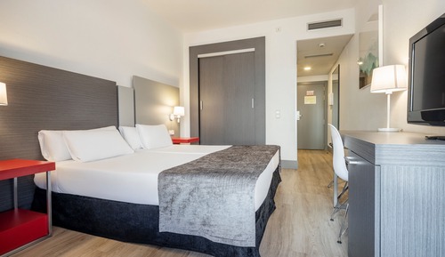 Habitación doble, mascotas