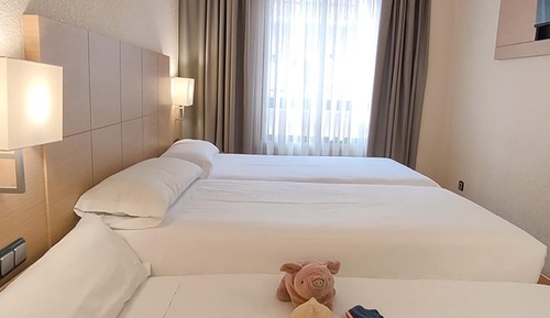 Habitación estándar (with Extra Bed)