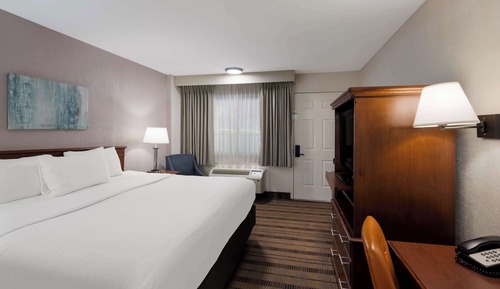 Habitación estándar, 1 cama de matrimonio grande, no fumadores, frigorífico