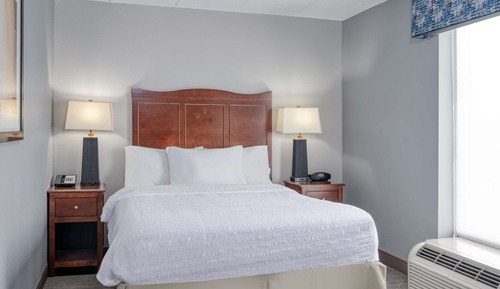 Suite con cama matrimonial, no fumadores
