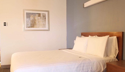 Single Queen Deluxe Room