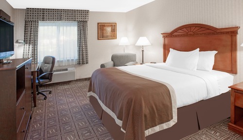 Habitación estándar, 1 cama de matrimonio grande
