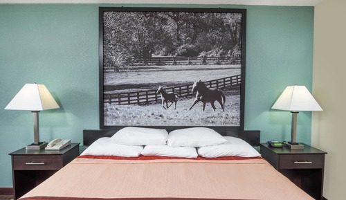 Habitación básica, 1 cama de matrimonio grande, no fumadores