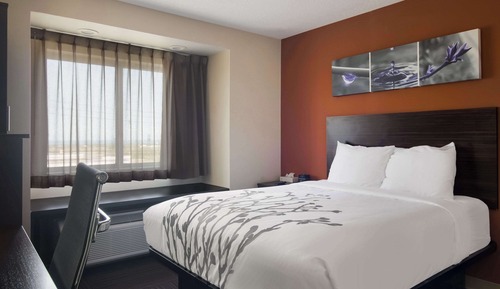 Habitación estándar, 1 cama de matrimonio, no fumadores