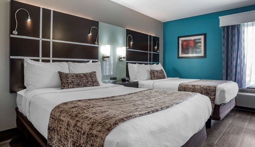 Suite, varias camas, no fumadores (Shower Only)