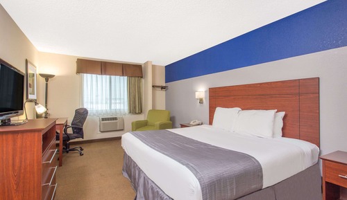 Habitación estándar, 1 cama de matrimonio grande, no fumadores