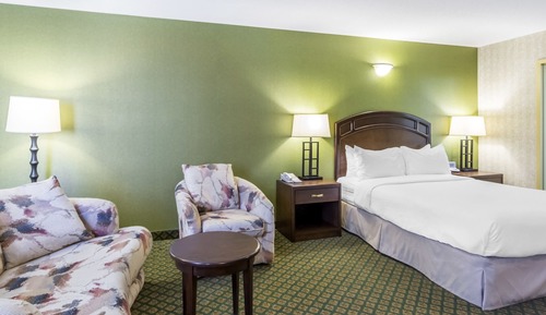 Habitación estándar, 1 cama de matrimonio, no fumadores