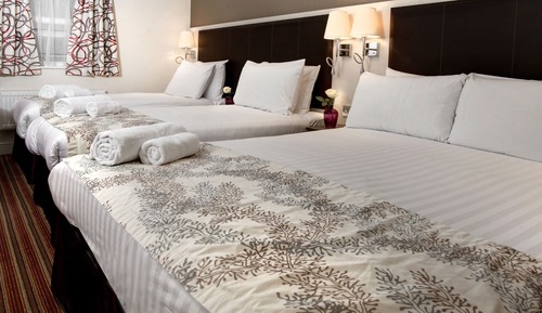 Habitación estándar, varias camas, no fumadores