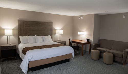 Suite, 1 cama de matrimonio grande con sofá cama