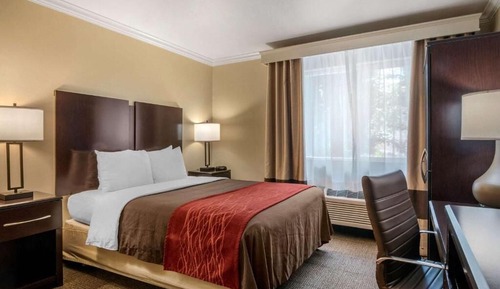 Habitación estándar, 1 cama de matrimonio, no fumadores