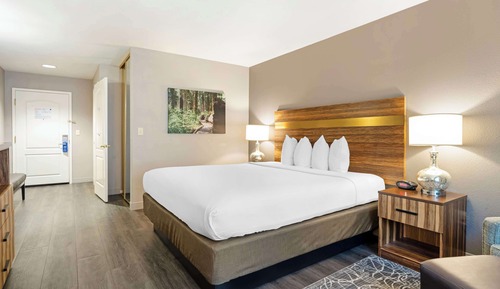 Habitación estándar, 1 cama de matrimonio grande, accesible para personas con discapacidad