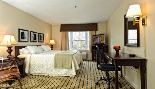 Habitación estándar, 1 cama de matrimonio grande