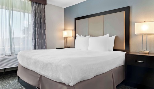 Suite, 1 cama de matrimonio grande, no fumadores, frigorífico y microondas (with Sofabed)