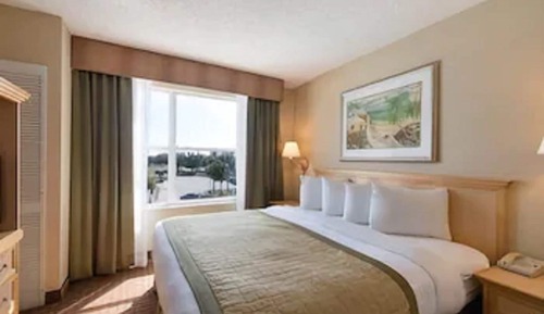 Habitación estándar, 1 cama de matrimonio grande