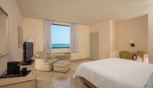 Habitación ejecutiva, 1 cama de matrimonio grande