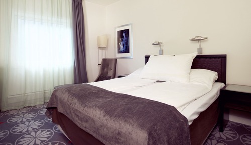 Habitación estándar, 1 cama doble