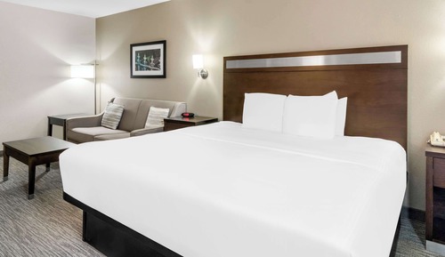 Suite, 1 cama de matrimonio grande, no fumadores (Walk-in Shower;with Sofabed)