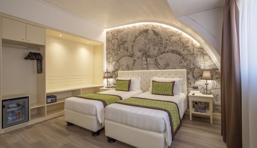 Habitación Deluxe con 2 camas individuales
