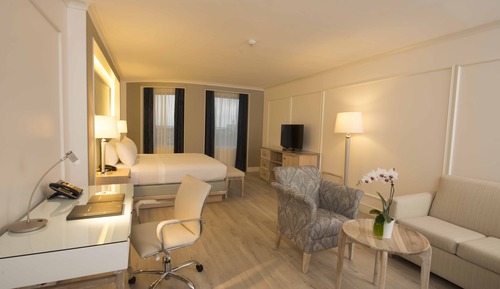 Suite junior, 1 cama de matrimonio grande