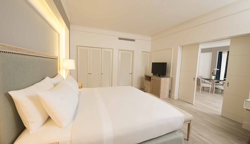 Suite, 1 cama de matrimonio grande