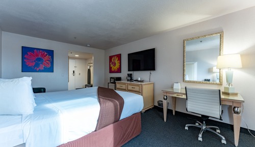 Suite Estudio Business