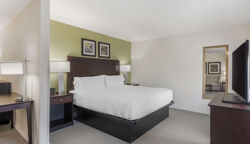 Suite, 1 cama de matrimonio grande, no fumadores, frigorífico y microondas