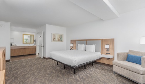 Habitación estándar, 1 cama de matrimonio grande