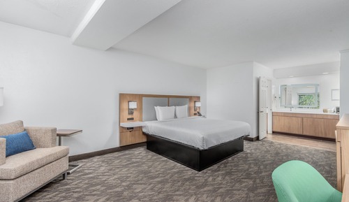 Habitación estándar, 1 cama de matrimonio grande