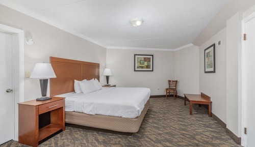 Suite, 1 King Bed, Fireplace