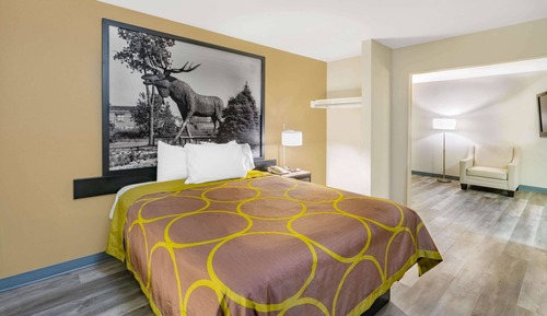 Habitación, 1 cama de matrimonio, accesible para personas con discapacidad (Mobility/Roll-In Shower)