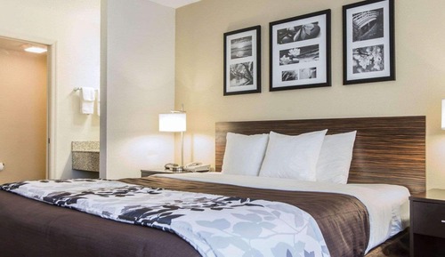 Habitación estándar, 1 cama de matrimonio grande, no fumadores