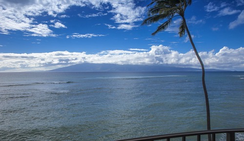 Suite, 1 habitación, frente al mar