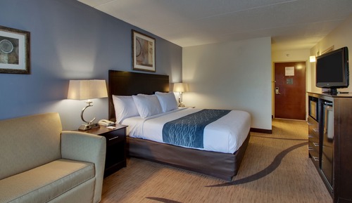 Habitación estándar, 1 cama de matrimonio grande (Non-Smoking Handicap King Room)
