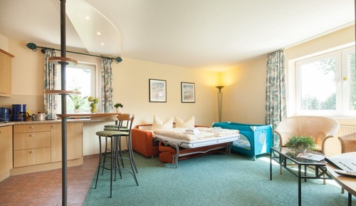Habitación estándar, 1 cama doble con sofá cama