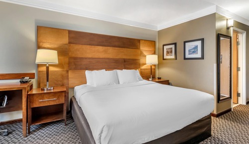 Habitación estándar, 1 cama de matrimonio grande, no fumadores