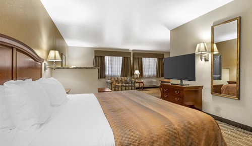 Suite, 1 cama de matrimonio grande, no fumadores (Larger Room;with Sofabed)
