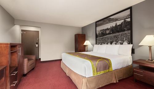 Habitación estándar, 1 cama de matrimonio grande, no fumadores (No Pets)