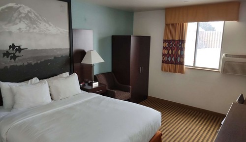 Habitación estándar, 1 cama de matrimonio, no fumadores