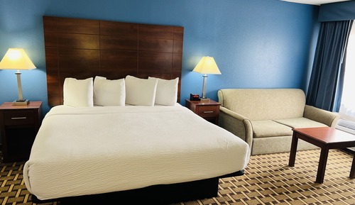 Habitación estándar, 1 cama de matrimonio grande