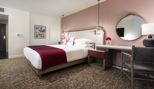 Suite, 1 cama de matrimonio grande con sofá cama