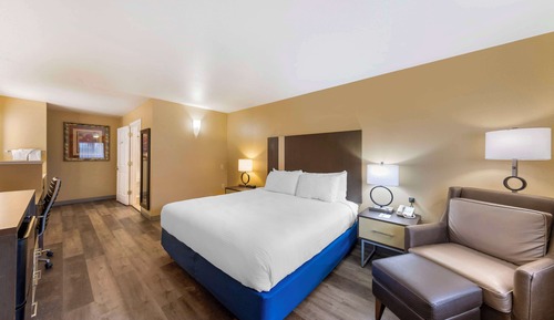 Habitación estándar, 1 cama de matrimonio grande, no fumadores (Pet Friendly)