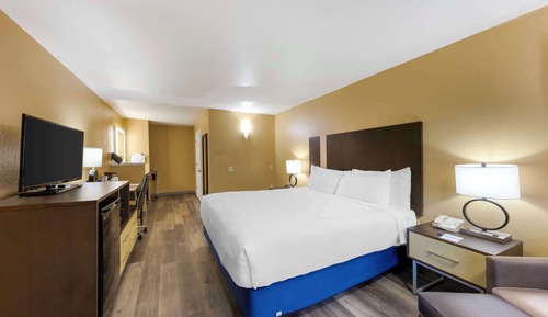 Habitación estándar, 1 cama de matrimonio grande, no fumadores (Pet Friendly)