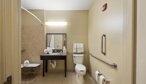Habitación estándar, 1 cama de matrimonio grande (Roll-In Shower)