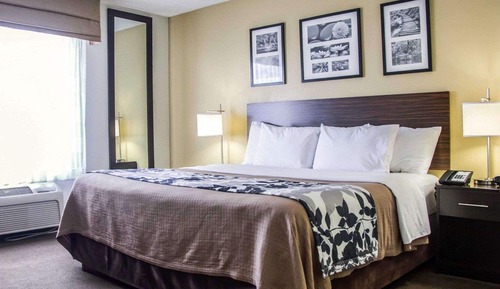Habitación estándar, 1 cama de matrimonio, no fumadores