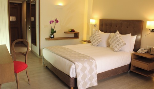 Habitación Premium, 1 cama de matrimonio