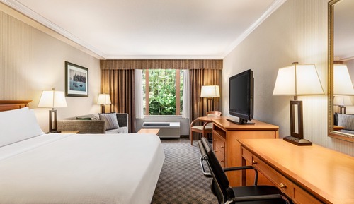 Habitación Premium, 1 cama de matrimonio grande