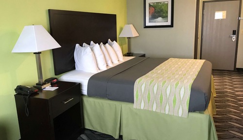 Habitación estándar, 1 cama de matrimonio grande, no fumadores, frigorífico y microondas
