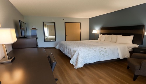 Habitación estándar, 1 cama de matrimonio grande, no fumadores (Microwave & Refrigerator)